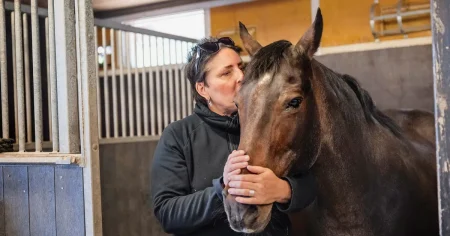 Häst skadad efter björnattack – ”stora rivmärken”