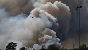 Frivillig brandman erkänner att ha anlagt skogsbrand i Fontainebleauskogen