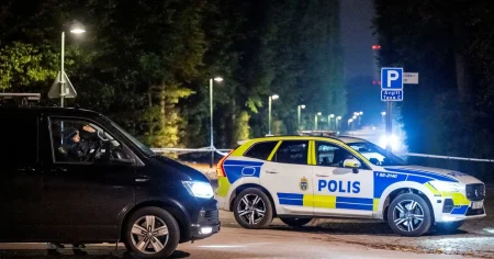 Kvinna larmade om våldtäkt i park – misstänks för falsklarm