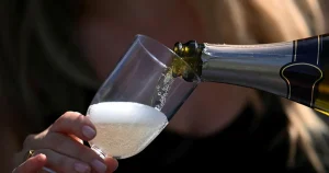 Champagneexpert: Bubblet hotas av klimatförändringar