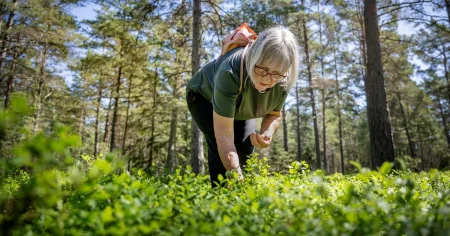 Här är Sveriges ”fästingepicentrum” – högst risk för TBE