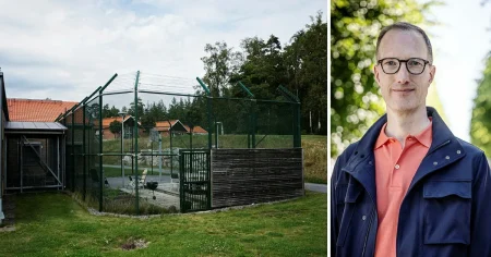 Jan Jönsson: Barnfängelserna kommer fostra tigerpojkar till ett liv i kriminalitet
