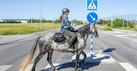 Hon har filmat sin ritt över Sverige: ”Hästarna rymde häromdagen”