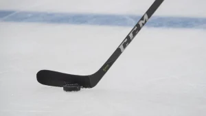 Falu IF nedflyttat efter ekonomiska problem, HockeyAllsvenskan kommer ha 19 lag nästa säsong