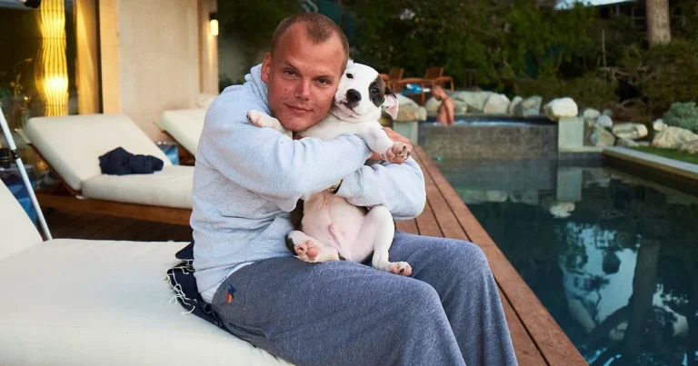 Nya beskedet – de kommer betala för Aviciis cancersjuka hund