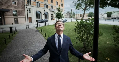 Max Hjelm: Kristerssons avslöjande kommentar flög under radarn