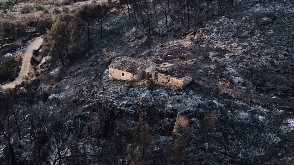 Spansk skogsbrand dödade 12 utländska medborgare bland 13 döda, meddelar myndigheterna