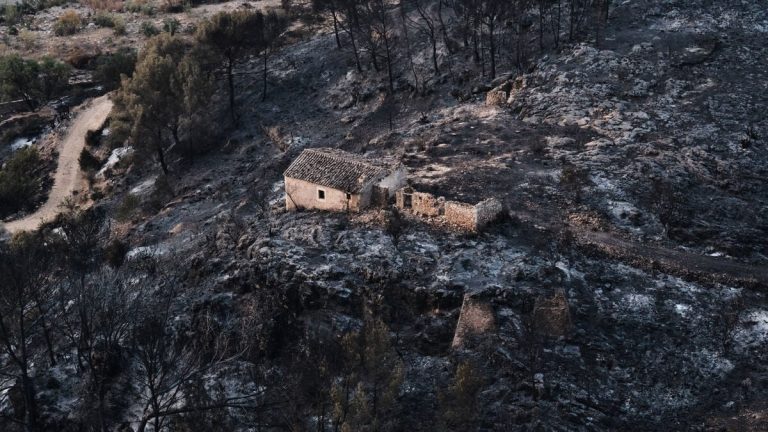 Spansk skogsbrand dödade 12 utländska medborgare bland 13 döda, meddelar myndigheterna