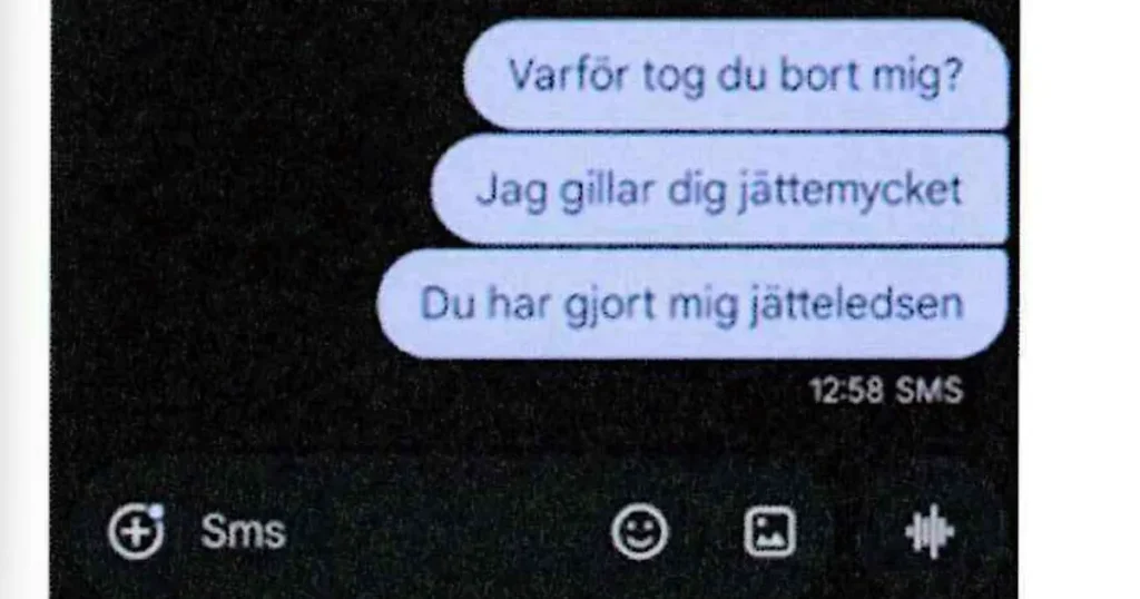 18-åring misstänks ha planerat mörda flicka som blockat honom