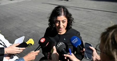 Mohamsson om SD:s utspel: ”Förlorarmentalitet”