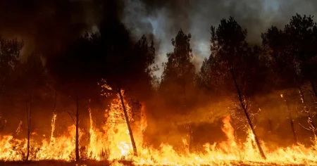 Kulturdebatt. Billy Larsson: Rädsla leder inte alltid till förändringsvilja