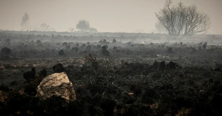 Väderomslag hotar brandbekämpningen i Belgien