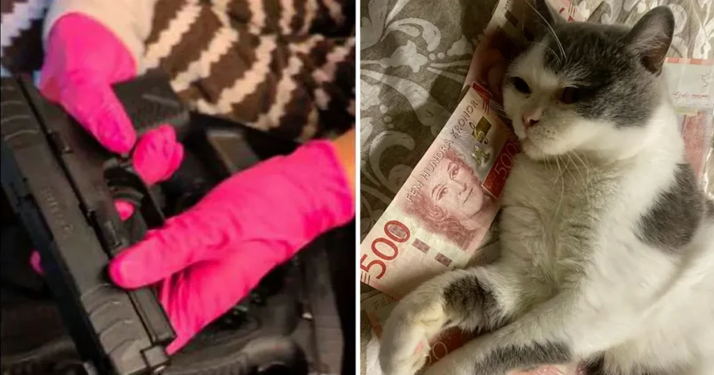 Katten syns bland piratkopierade vapen och knark – tre unga kvinnor döms