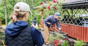 Bror Wilhelm sa upp sig – för gratisjobb i andras trädgårdar