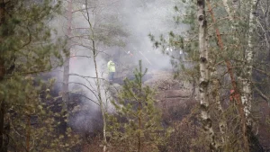 Hög skogsbrandrisk i flera delar av Sverige på söndag, varnar SMHI