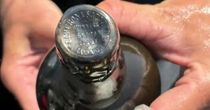 Havsfyndet – 162 år gammal Guinness