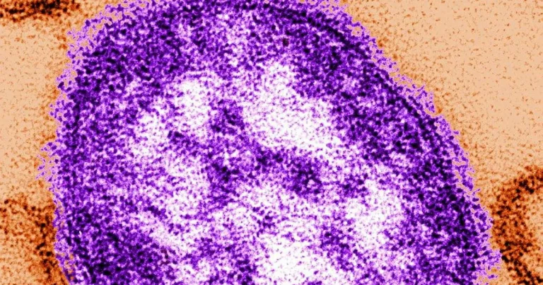 Johan Nilsson: De som låter bli att vaccinera sig utsätter andra för fara