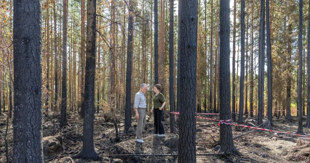 Het valkamp om klimatet efter sommarens bränder