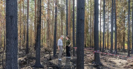 Het valkamp om klimatet efter sommarens bränder