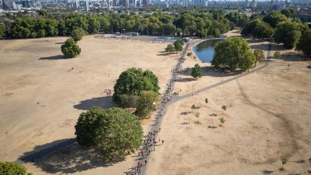 Tysklands värmebölja har krävt 14 000 dödsoffer när Europa drabbas av dödlig sommarhetta