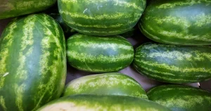 Sanna: Vi provar en ny väg in i Ukraina – utan papper, med en sovande chaufför