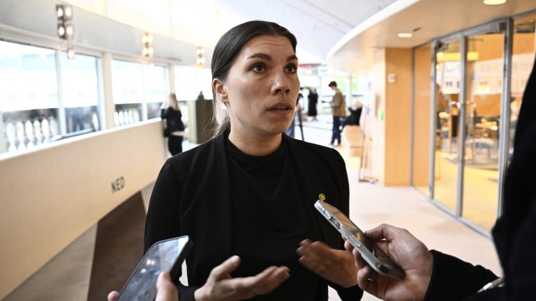 Rödgröna hoppas blockera hårdare regler för anhöriginvandring