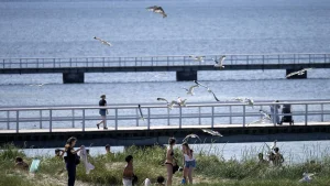 Malmö avråder från bad vid alla kommunala badplatser på grund av algblomning.