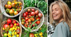 Lotta Lundgren: Jag ska berätta vad jag gjorde med min broccoli