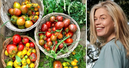 Lotta Lundgren: Jag ska berätta vad jag gjorde med min broccoli