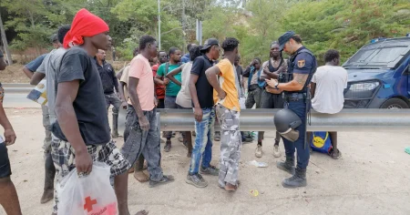 Statsvetare: Politiker drar felaktiga slutsatser om migrantvågen