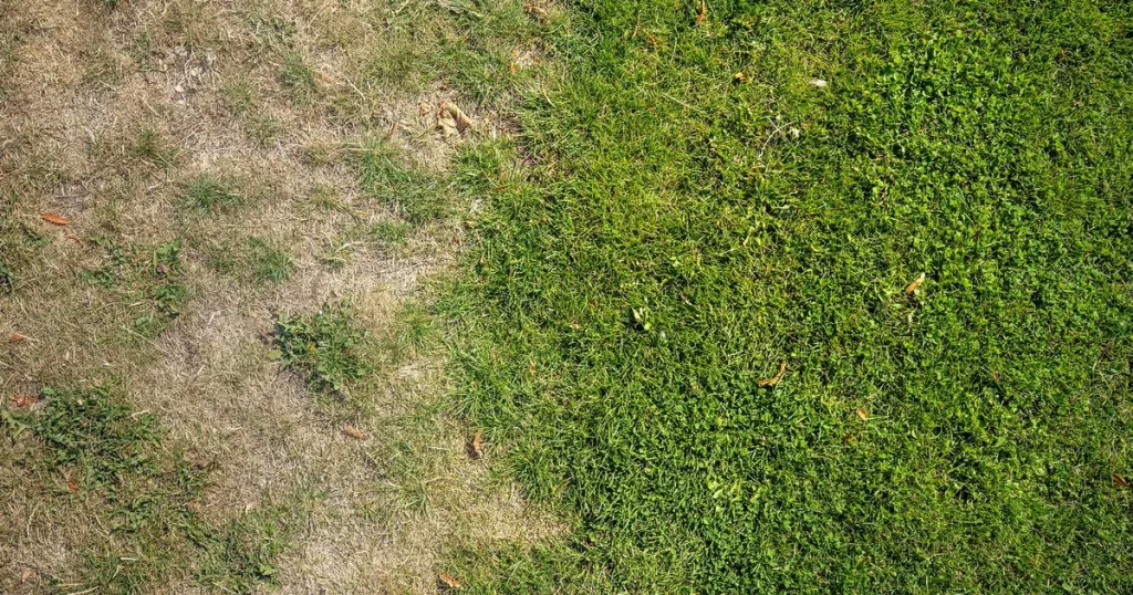 Torrt? Det var värre sommaren 2018