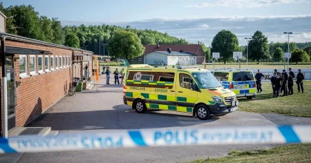 Tidigare skoldåd i Sverige