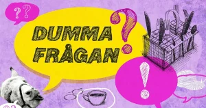 Dumma frågan: Hur ställer man in i diskmaskinen på bästa sätt?