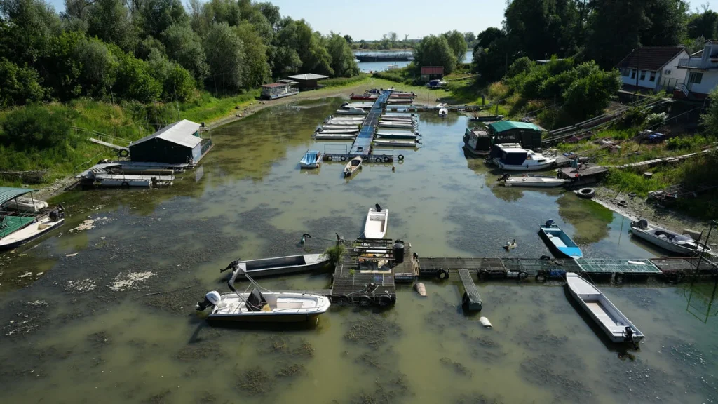 Donau och Rhen extremt låga när torka stänger ner sjöfart och kraftverk
