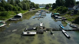 Donau och Rhen extremt låga när torka stänger ner sjöfart och kraftverk