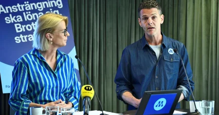 M i Stockholm vill hitta 50 miljarder via ”slöserikommission”