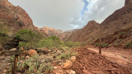 Omkring 15 saknas efter plötslig översvämning i Grand Canyon nationalpark