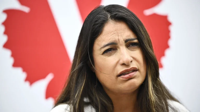 Dadgostar kallar vänsterpartiledamotens hyllning till terrorist ett misstag