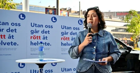 Här går gränsen – då dumpar stödröstarna Mohamsson