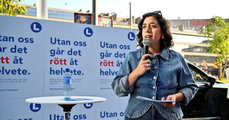 Här går gränsen – då dumpar stödröstarna Mohamsson