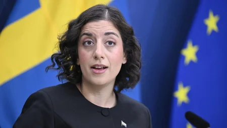 Mohamsson kritiserar Åkessons uppmaning att rösta ut Liberalerna