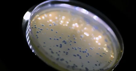 Johan Nilsson: En desperat jakt på alternativ till antibiotika