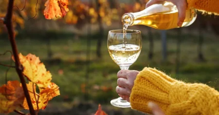 Fantastiska viner som ger hösten guldkant