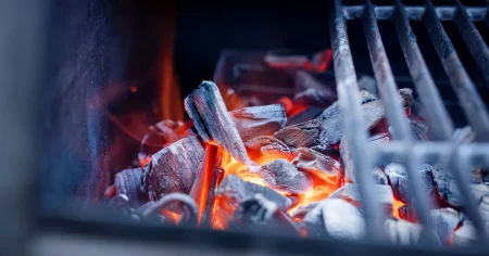 Jens Linder: Matlagning som glödande protest mot mörkret