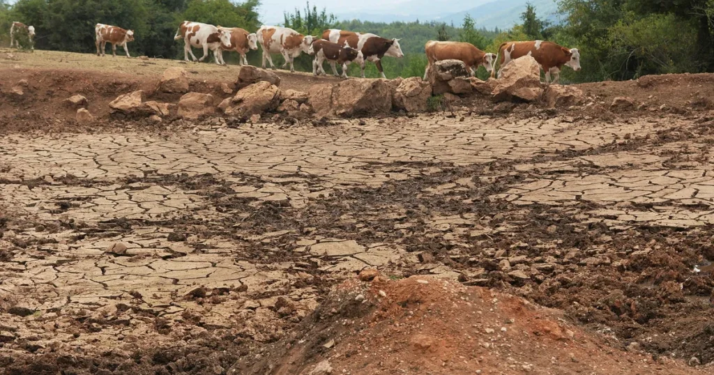 Planetens förråd av färskvatten fortsätter att minska