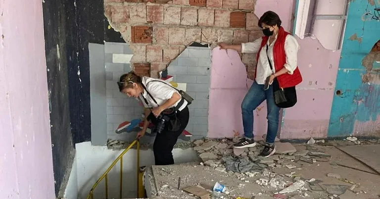 Emma Bouvin: Gripandet av journalisten visar Turkiets mörka utveckling
