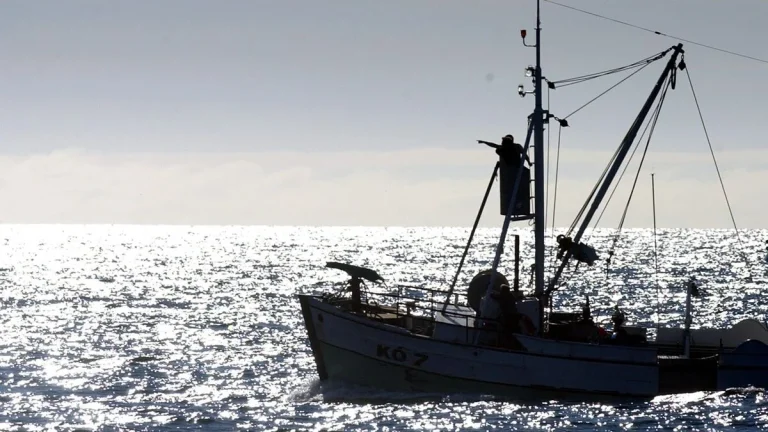 USA hotar med tullar mot Island på grund av valfångst, enligt rapport