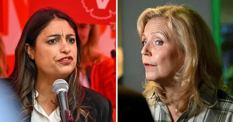 Statsvetare: Det här partiet måste vika sig i förhandlingarna