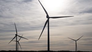 Datahallar kan återuppliva Sveriges vindkraftsindustri, enligt Green Power Swedens vd.