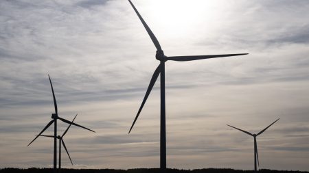 Datahallar kan återuppliva Sveriges vindkraftsindustri, enligt Green Power Swedens vd.